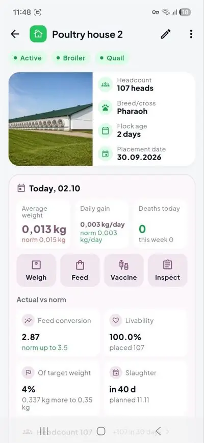 Broiler house: weight, gain and feed conversion
